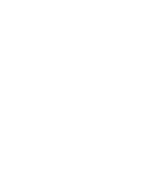 Icon mit Dokumentenakte und Schloss als Illustration, Symbol für eLearning-Modul Geheimhaltung, Swiss Infosec AG